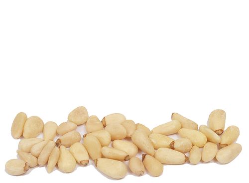 Organic PINE NUTS (raw) - 1 LB