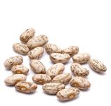 Organic PINTO BEANS - 25 LBS