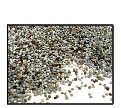Organic POPPY SEEDS - 5 LBS
