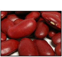 Organic RED KIDNEY BEANS - 5 LBS