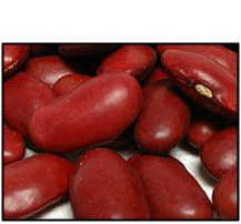 Organic RED KIDNEY BEANS - 5 LBS