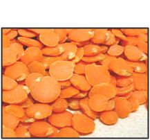 Organic RED LENTILS - 25 LBS