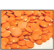 Organic RED LENTILS - 25 LBS
