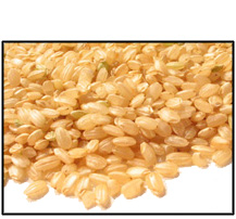 Organic SHORT GRAIN BROWN RICE - 25 LBS
