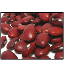 Organic SMALL RED (CHILE) BEANS - 2 LBS
