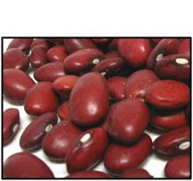 Organic SMALL RED (CHILE) BEANS - 5 LBS