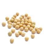 Organic SOY BEANS - 25 LBS - Out of Stock