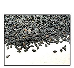 Organic UNHULLED BLACK SESAME SEEDS - 2 LBS