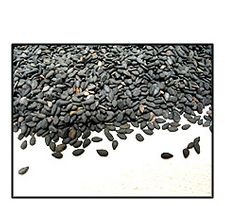 Organic UNHULLED BLACK SESAME SEEDS - 5 LBS