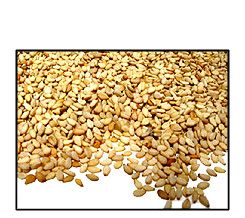 Organic UNHULLED SESAME SEEDS  - 5 LBS