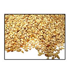Organic UNHULLED SESAME SEEDS  - 5 LBS