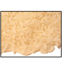 Organic WHITE BASMATI RICE - 25 LBS