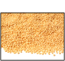 Organic WHOLE GRAIN AMARANTH - 2 LBS