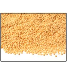 Organic WHOLE GRAIN AMARANTH - 25 LBS