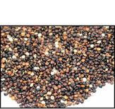 Organic WHOLE GRAIN BLACK QUINOA - 5 LBS