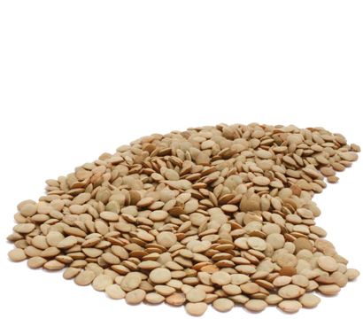 Organic WHOLE RED LENTILS with skin - 25 LBS - Out of Stock