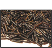 Organic WILD RICE - 5 LBS