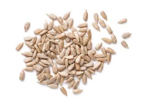 Seeds & Sprouting Seeds & Sprouting
