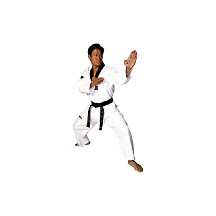 TAEKWO PROFESSIONAL TAEKWONDO COLOR UNIFORM | Martial Arts