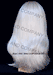 Long Straight White Wig