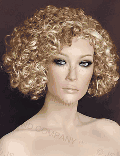 Short Full and Curly Wig H27/613