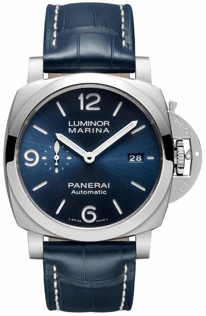 PAM01313
