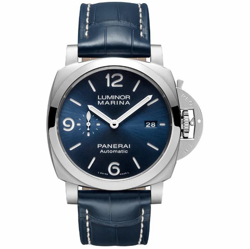PAM01313