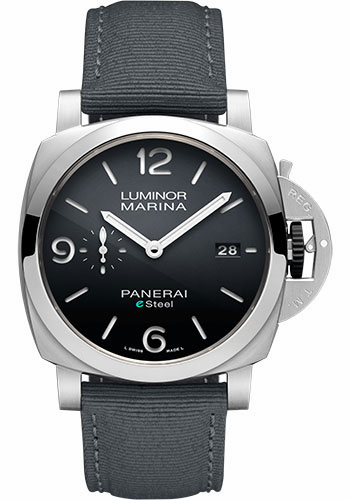  PAM01358