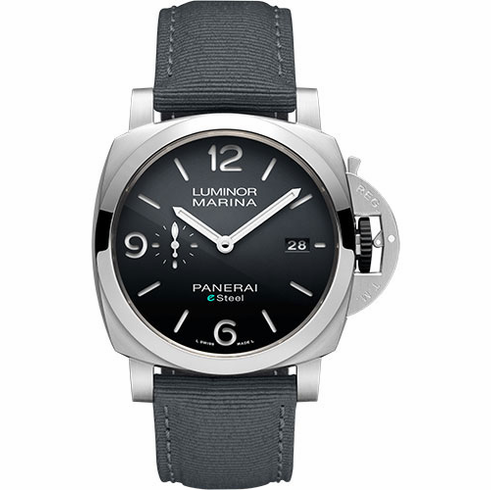  PAM01358