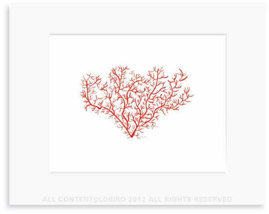 Coral- 8 x 10 Print in 11 x 14 Mat 
