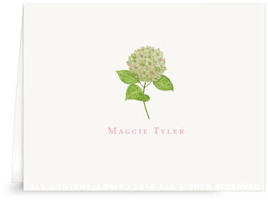 Green Hydrangea Folded Note Cards