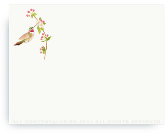 Ruby Throated Hummingbird - Non-Personalized Note Cards (4.25" X 5.5")