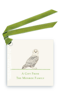 Snowy Owl