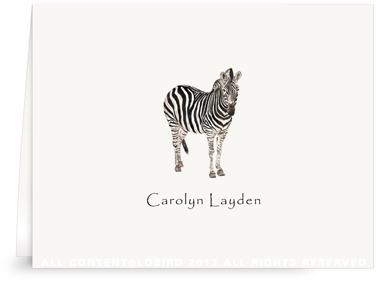 Zebra - Folded Note Cards