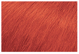 Matrix Color Sync Ammonia Free Demi Color VINYL Crimson Red