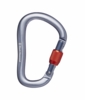 Black Diamond Rocklock Screwgate Carabiner Gray