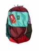 Cotopaxi Allpa 26L Daypack Del Dia Color 1