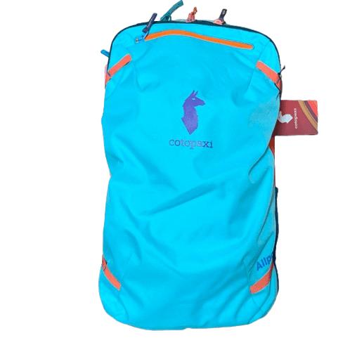 frozen jansport backpack 26 Amazon ideas