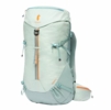 Cotopaxi Arenal 32L Backpack Foam And Silver Leaf