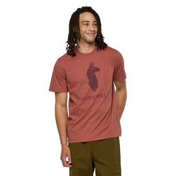 Cotopaxi Mens Llama T Shirt Nutmeg