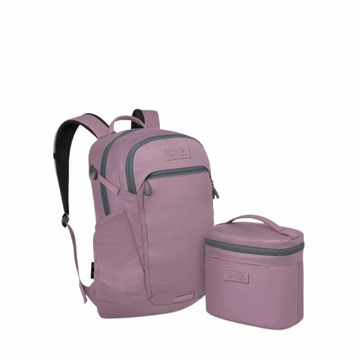 Osprey Axis x Hydro Flask Backpack and Insulated Lunch Bag Bundle Iris Pink
