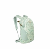 Osprey Daylite Shaleafy Print Frosty Mint O/S