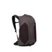 Osprey Hikelite LT 22 Hiking Backpack Graphite Purple