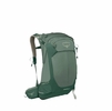 Osprey Stratos 24 Hiking Backpack Pine Leaf O/S