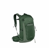 Osprey Talon 22 Green Canopy/Pine Leaf O/S