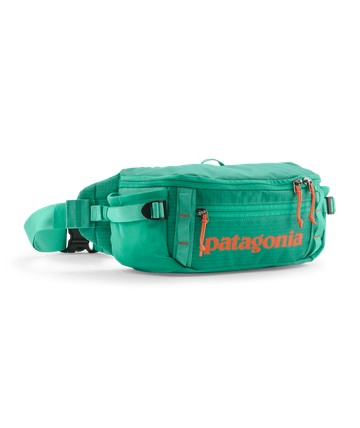 Patagonia Black Hole Waist Pack 5L Aqua Stone
