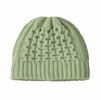 Patagonia Coastal Cable Beanie Lichen Green (Autumn 2025)