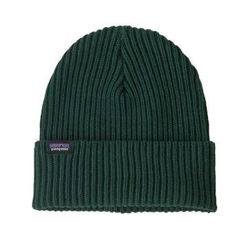 Patagonia Fishermans Rolled Beanie Cascade Green (Autumn 2025)