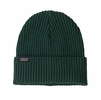 Patagonia Fishermans Rolled Beanie Cascade Green (Autumn 2025)