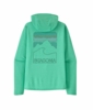 Patagonia Mens Cap Cool Sun Hoody - Peak Visions Aqua Stone - Early Teal X-Dye